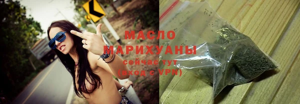 индика Верхний Тагил