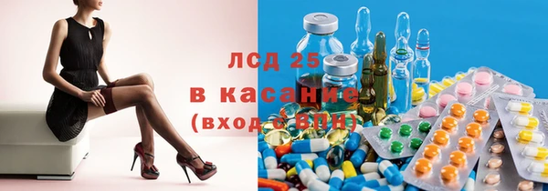индика Верхний Тагил