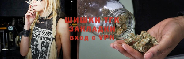 индика Верхний Тагил