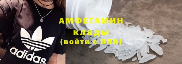 индика Верхний Тагил