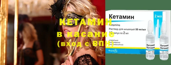 индика Верхний Тагил