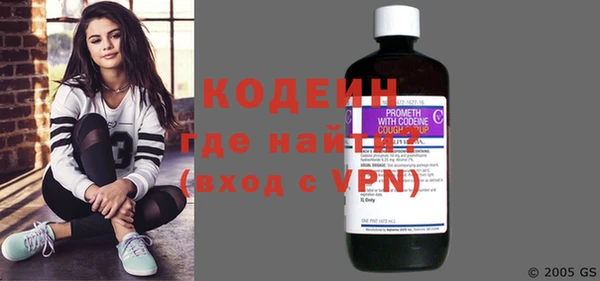 индика Верхний Тагил
