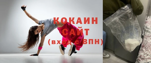 индика Верхний Тагил