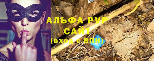 индика Верхний Тагил
