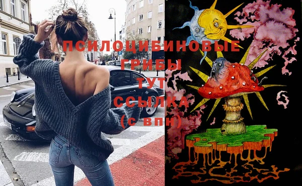 индика Верхний Тагил
