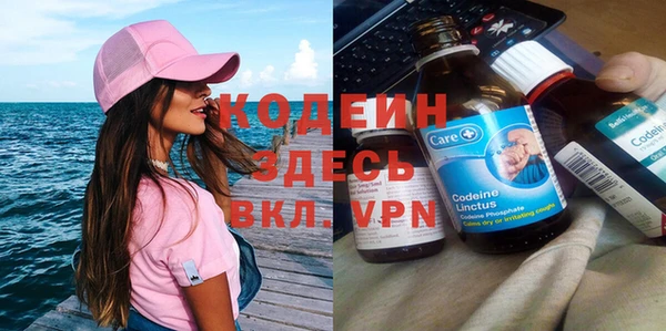 индика Верхний Тагил
