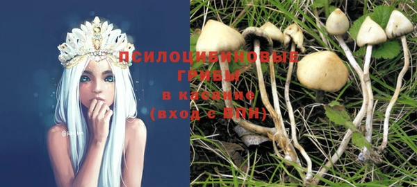 индика Верхний Тагил