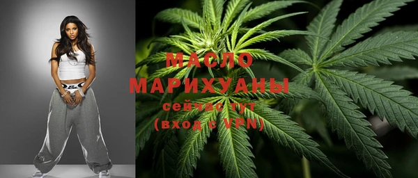 индика Верхний Тагил